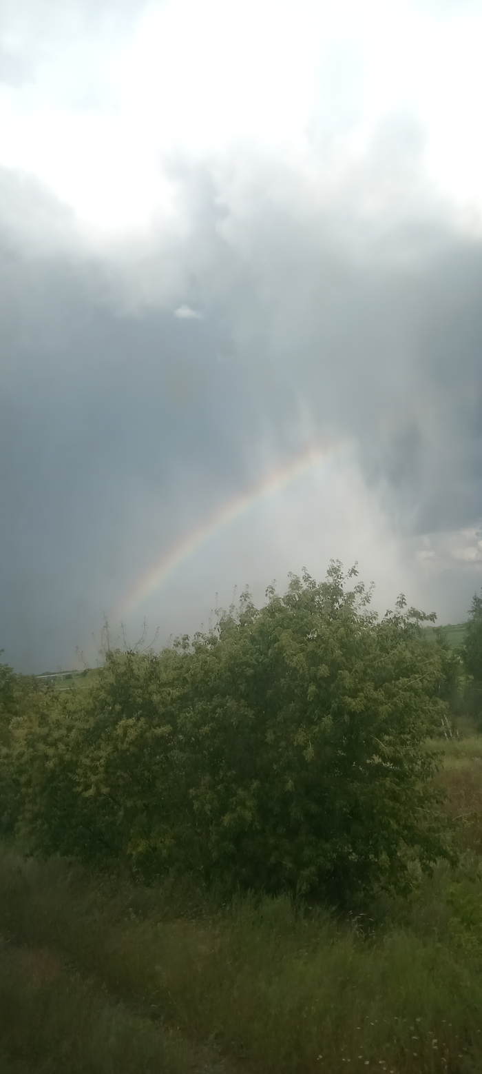 Rainbow