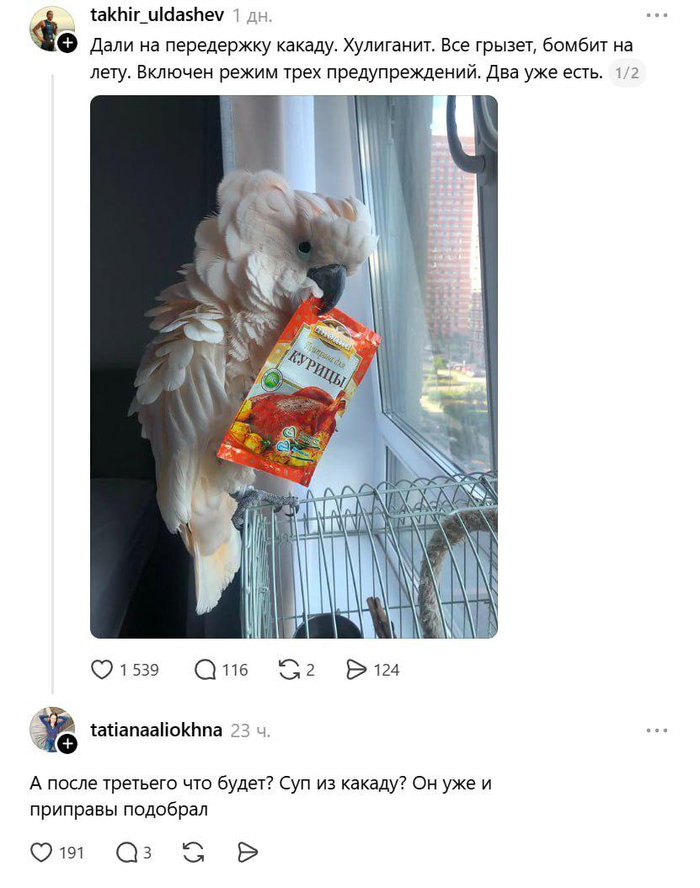 Третье предупреждение