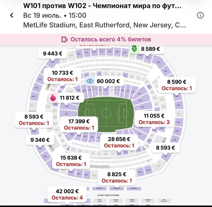 Помогите с выбором билетов на финал ЧМ по футболу