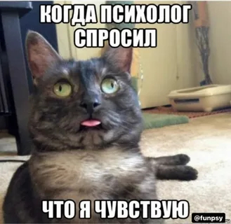 А я чувствую