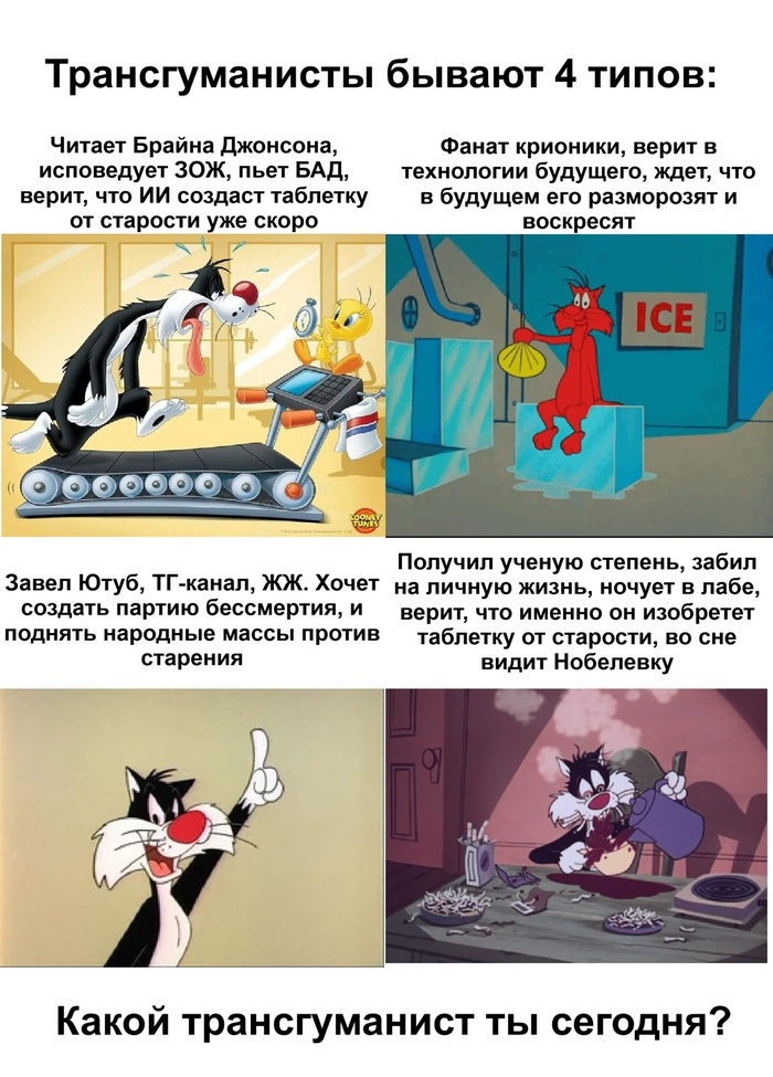 Какой Сильвестр ты сегодня?