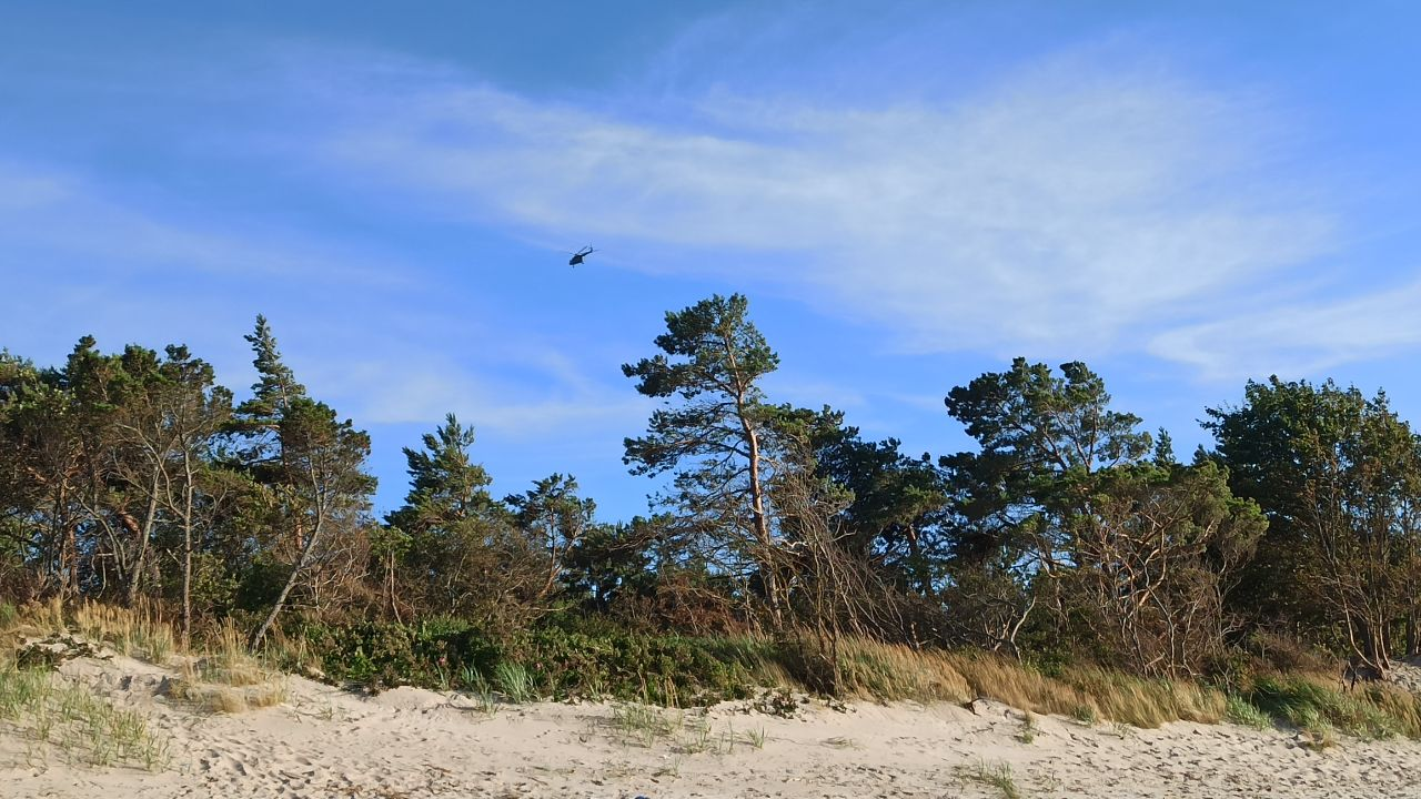 And about the weather in Kaliningrad - Series Kaliningrad and the region, My, Weather, Summer, Sea, The sun, Beach, Sand, Pine, Kaliningrad, Kaliningrad region, Baltic Sea, Cities of Russia, Travels, Dacha, sights, Longpost