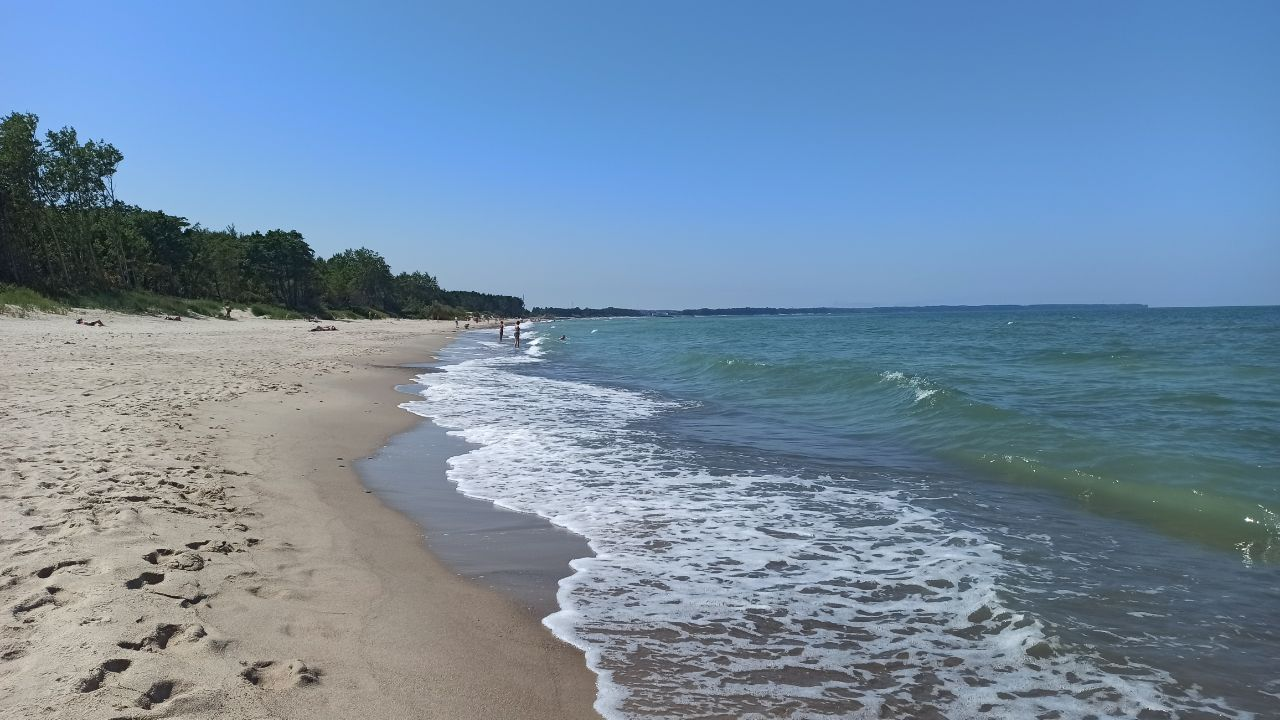 And about the weather in Kaliningrad - Series Kaliningrad and the region, My, Weather, Summer, Sea, The sun, Beach, Sand, Pine, Kaliningrad, Kaliningrad region, Baltic Sea, Cities of Russia, Travels, Dacha, sights, Longpost