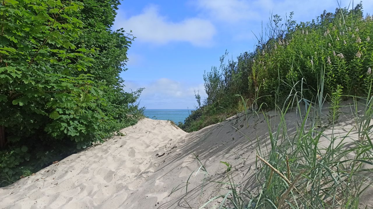 And about the weather in Kaliningrad - Series Kaliningrad and the region, My, Weather, Summer, Sea, The sun, Beach, Sand, Pine, Kaliningrad, Kaliningrad region, Baltic Sea, Cities of Russia, Travels, Dacha, sights, Longpost