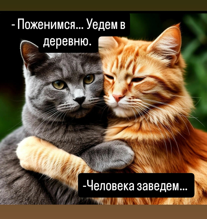 ���� � ������� ���� �����