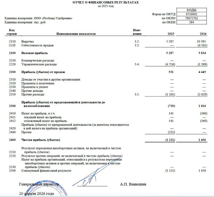 Отчет ООО «Русбонд-Удобрения» по РСБУ за 2025. Изучать его нет смысла