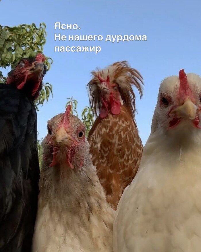 ��� ����� ���� ���� �������...