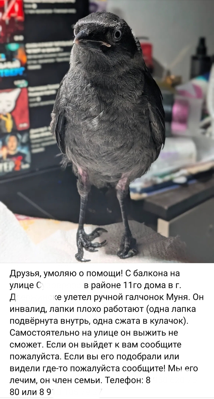 ����� ��������
