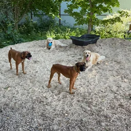 GromovV
