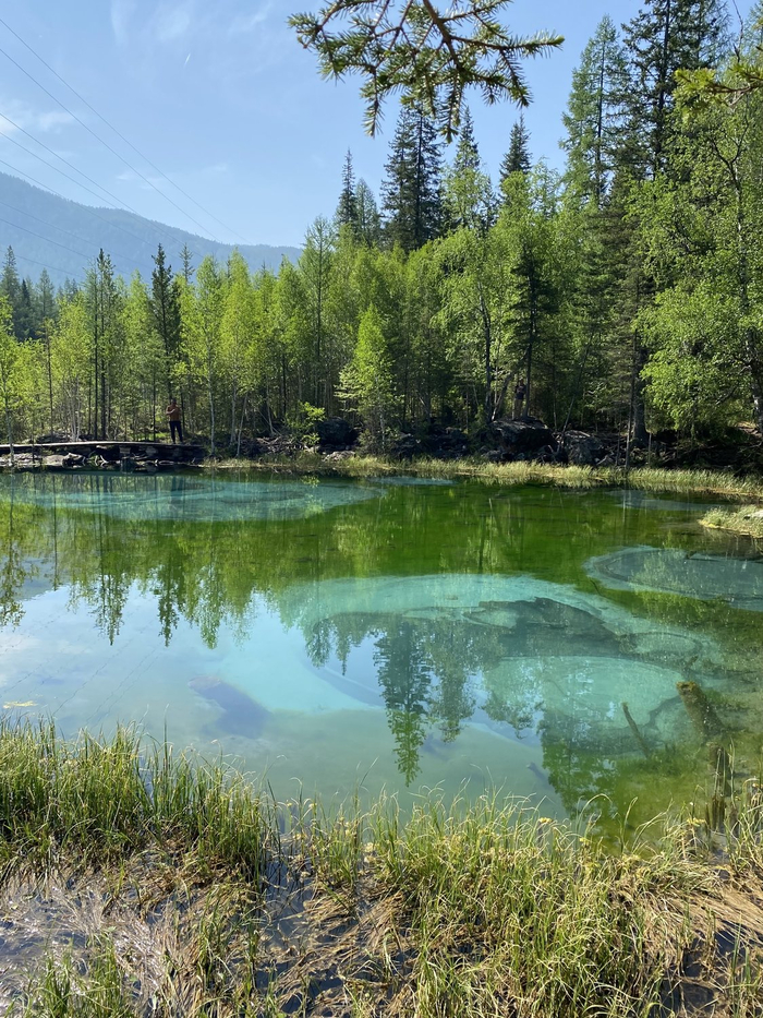 Фото: Ольга Горюнова <a href="https://pikabu.ru/story/geyzernoe_ozero_na_altae_14169413?u=https%3A%2F%2Frtraveler.ru%2Fphoto%2F1444514%2F%3Fauthor_photos%3D1&t=%D0%BE%D1%82%D1%81%D1%8E%D0%B4%D0%B0&h=064c677e85ef115ca5da8af55aa1e442e5cf6ba3" title="https://rtraveler.ru/photo/1444514/?author_photos=1" target="_blank" rel="nofollow noopener">отсюда</a>