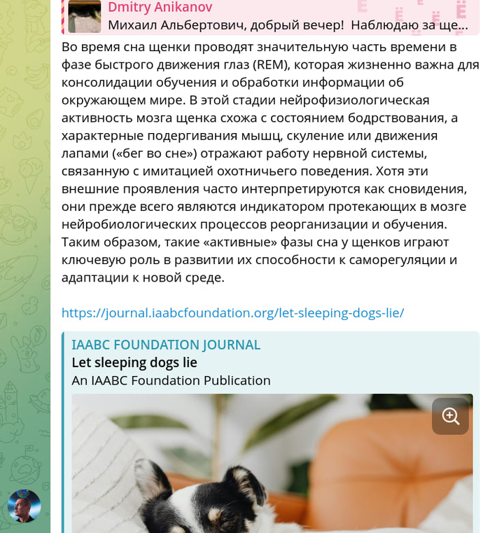 �� ����, ������ ������ ���� ������ �������� �� ������ �����