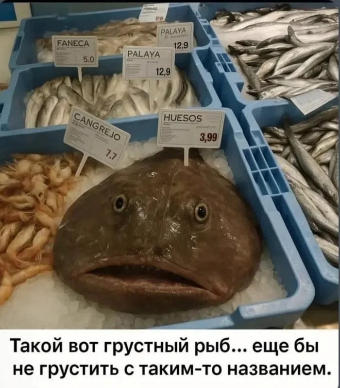 ���� ����� ��� ...����� �� �������