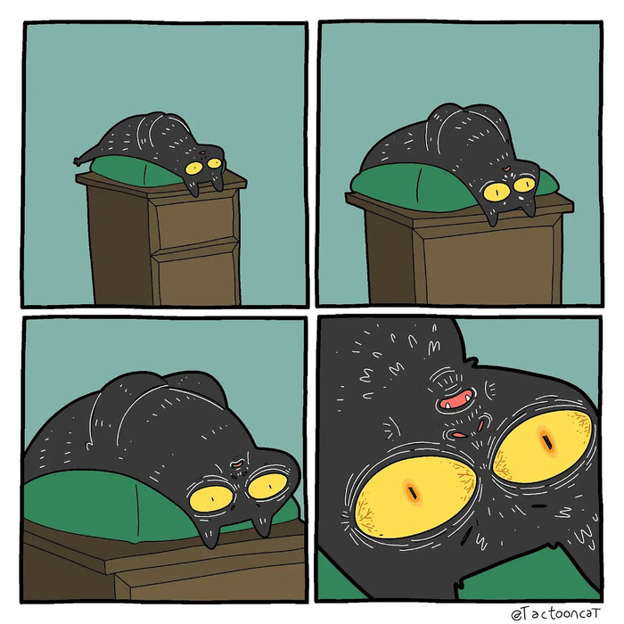 ����� ����� � ��������