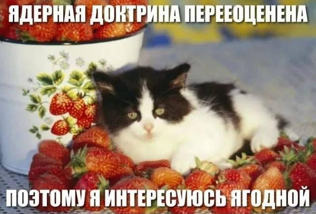 А что, как раз сезон