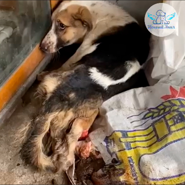 � ����� ������ ����� ��������� � ����� ��������
