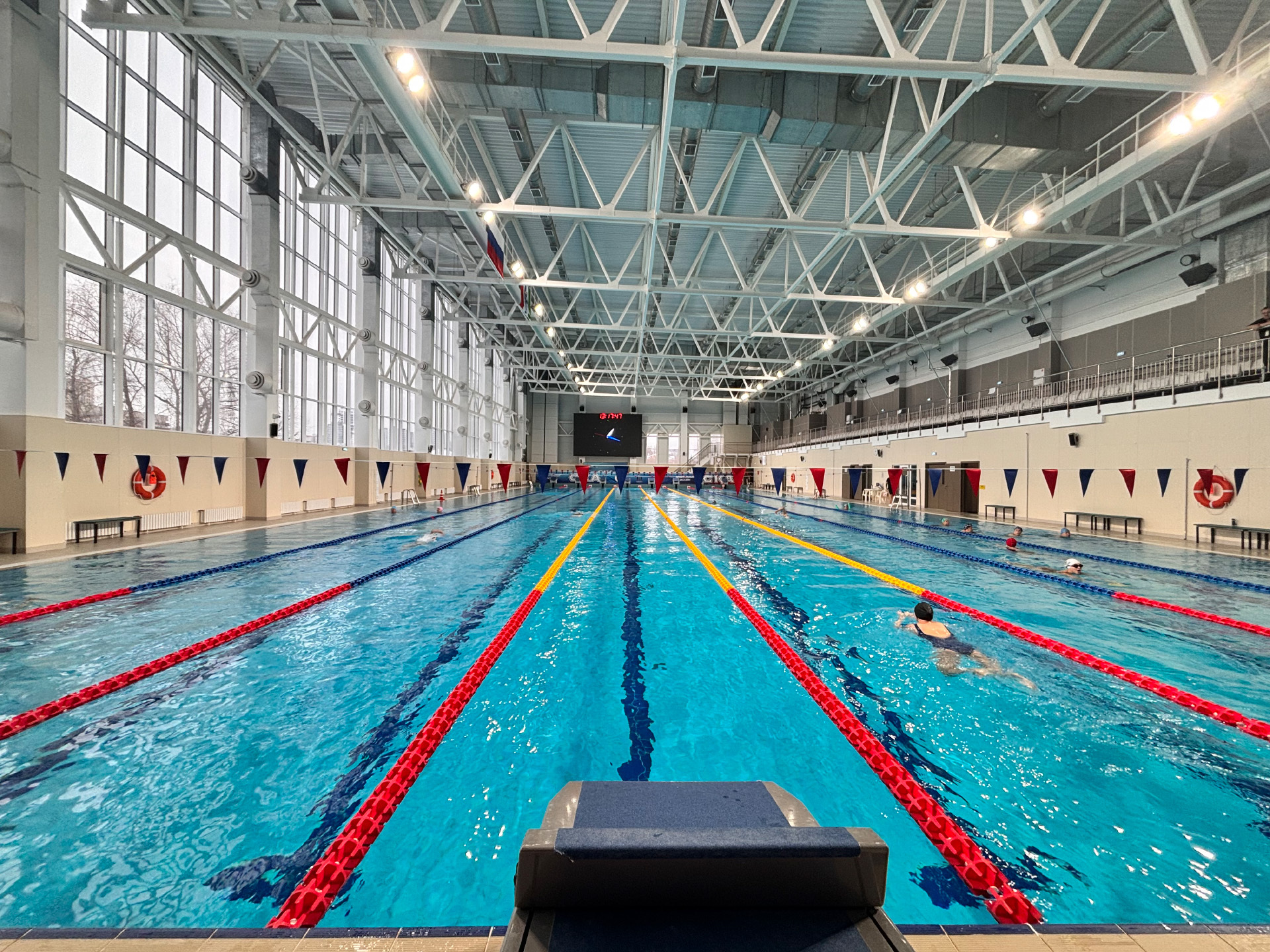 What if no one comes? How we got 86 participants for our first swimming competition in two months (and why I went gray) - My, Sport, Swimming, Marketing, Lead generation, Events, Case, Longpost, Competitions, Video, Vertical video, Short videos