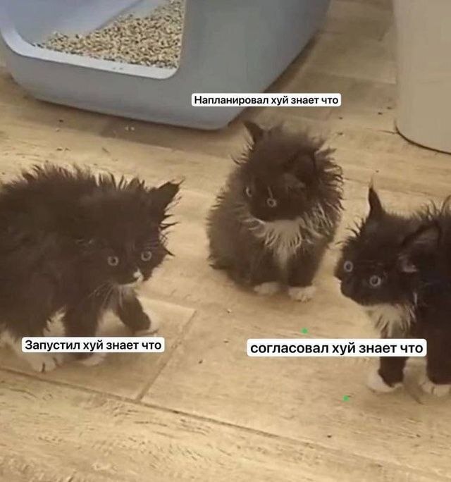 У кого так ?) - 22.07.26 14:380