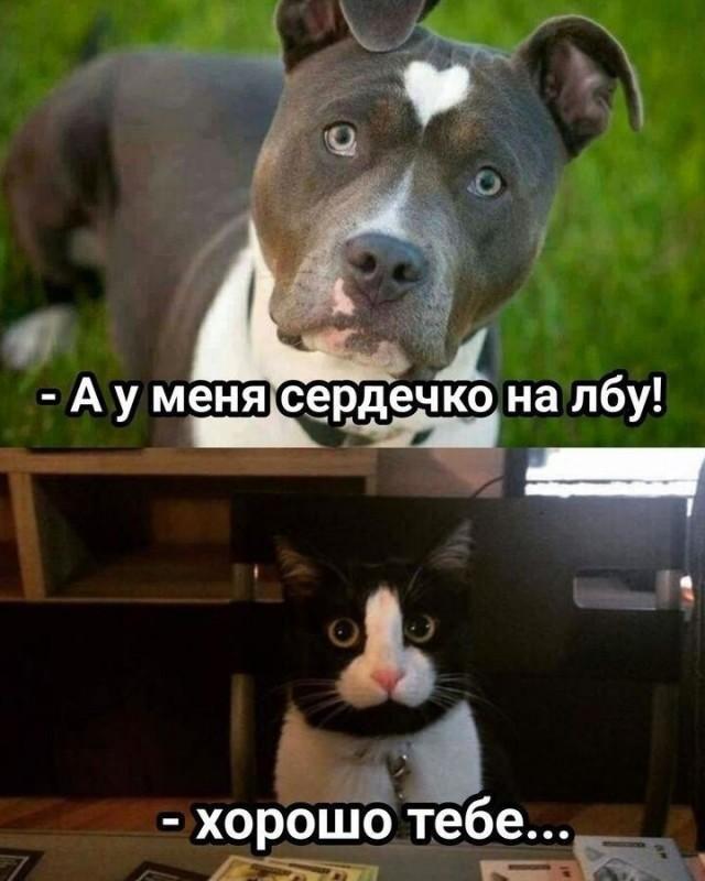 ������ �����
