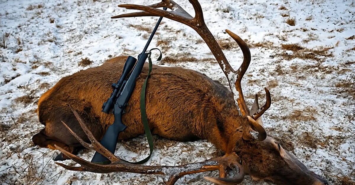 Hunting Poachers: GPS, Drones, and Indigenous Traditions - My, Hunting, Predatory animals, Deer, Reindeer, Poachers, Artiodactyls, Winter, National park, Hunting and fishing, Reserves and sanctuaries, Video, Rutube