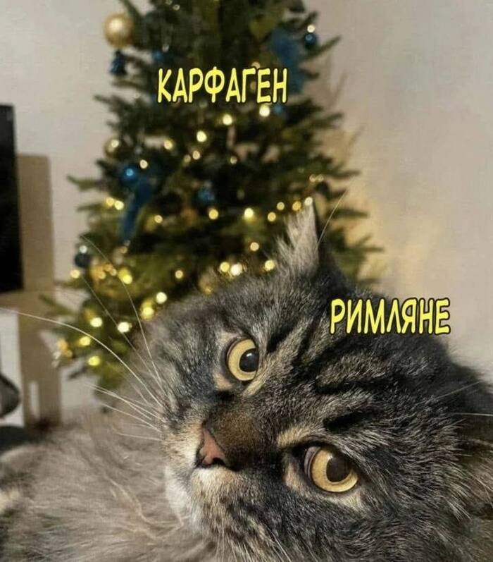 Ну и мем в тему :)