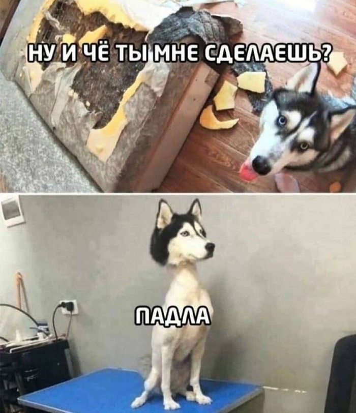 ��� �� ���