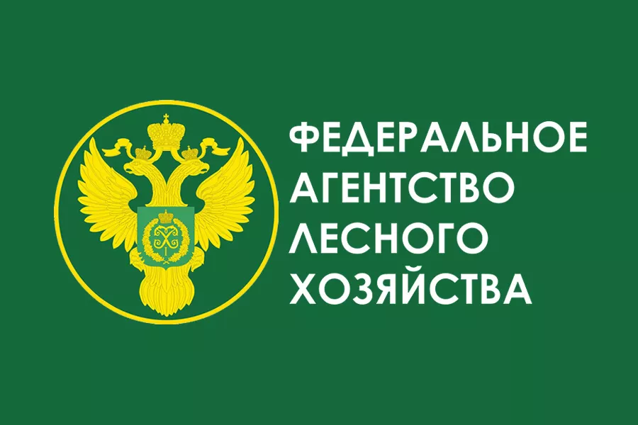 Кто работает в лесу - Моё, Лесное хозяйство, Лес, Длиннопост