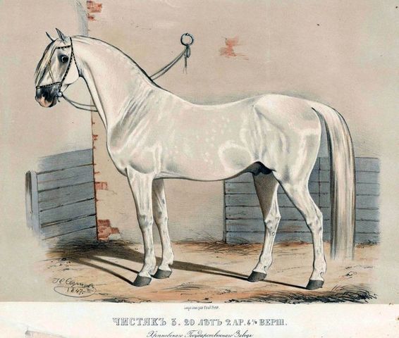 ������ III (������ I - �����) 1823 ���� ��������, ���������� �-�.