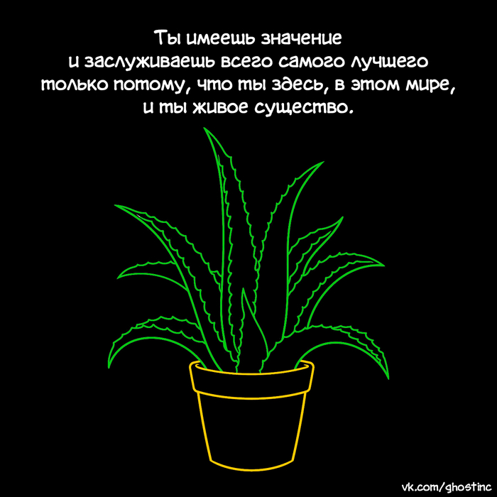 ����� ��������