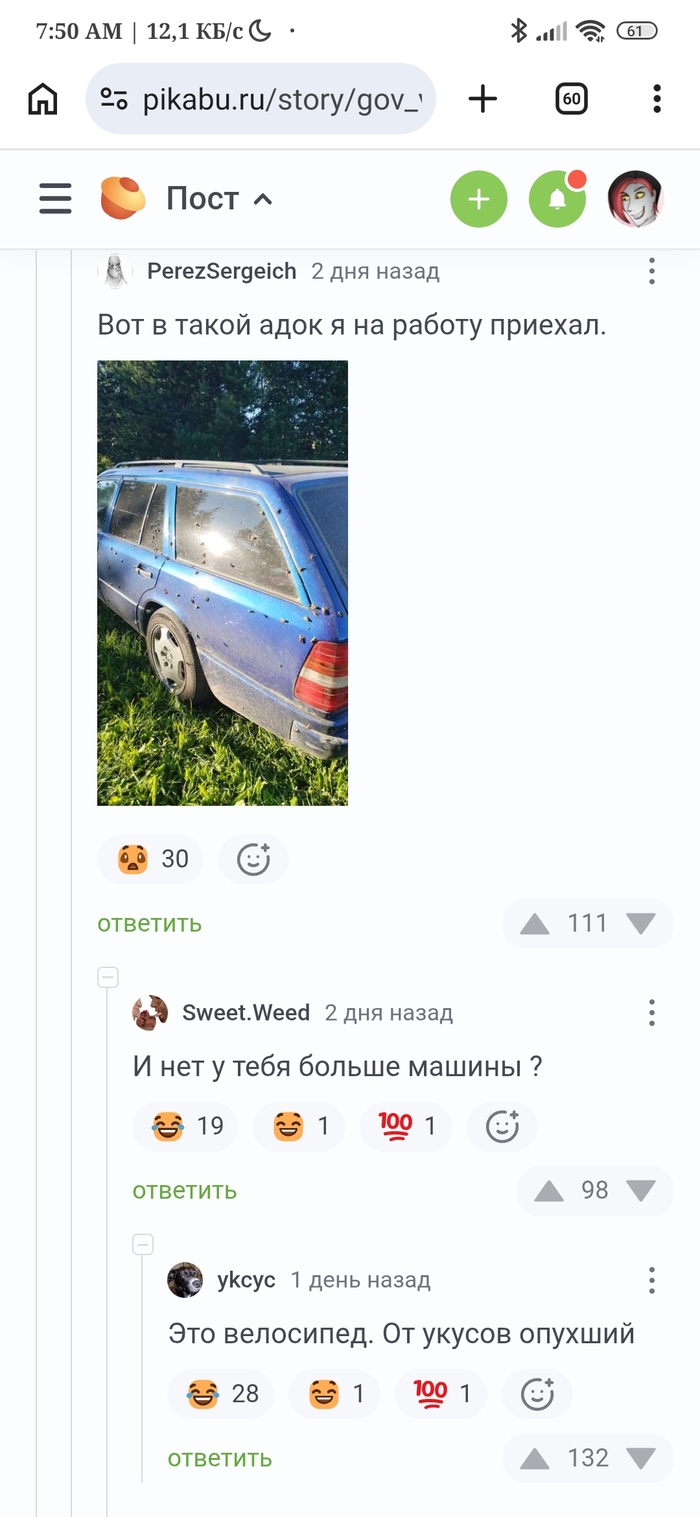 Слепни лютуют