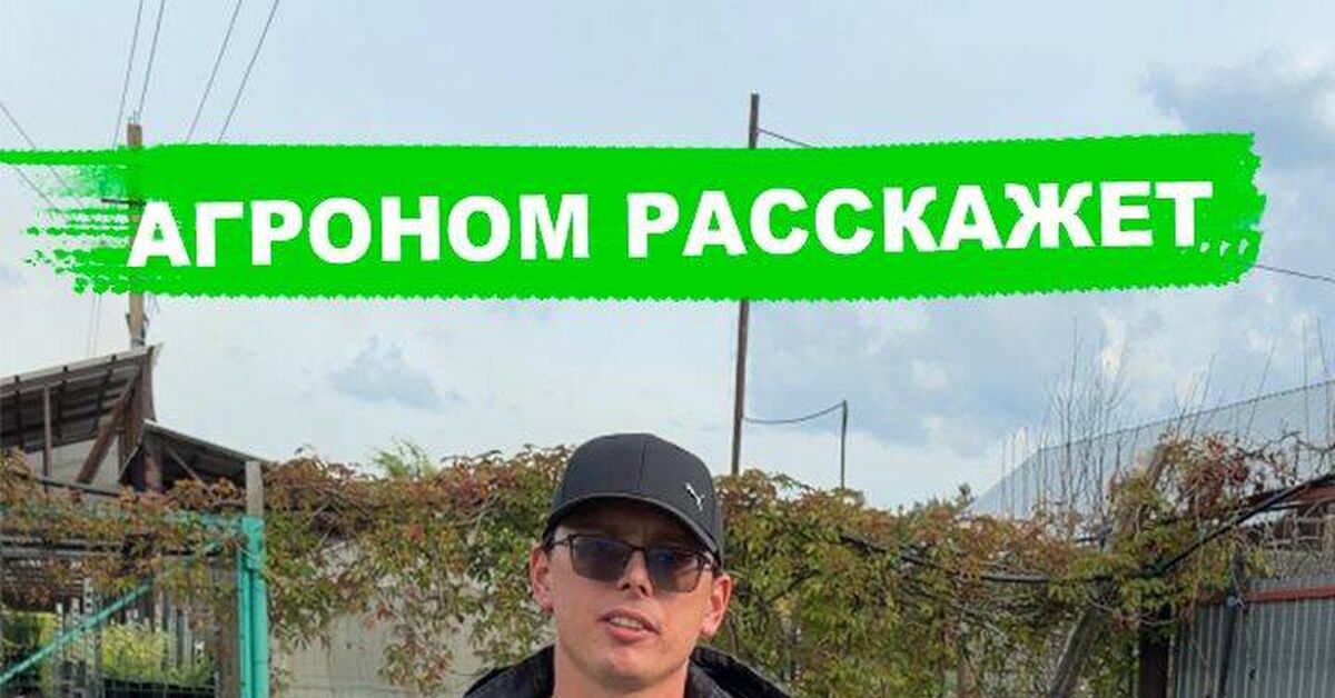 Почему краснеют листья Голубики? - Моё, Сад, Огород, Дача, Голубика, Растениеводство, Садоводство, Растения, Видео, Rutube, Короткие видео
