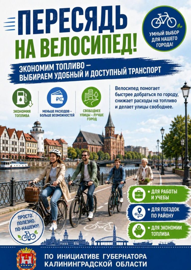 Is it true that in some regions of Russia, authorities are suggesting switching to bicycles to save fuel? - Fake news, A bike, Car, Fuel, Petrol, Saving, Ecology, Longpost
