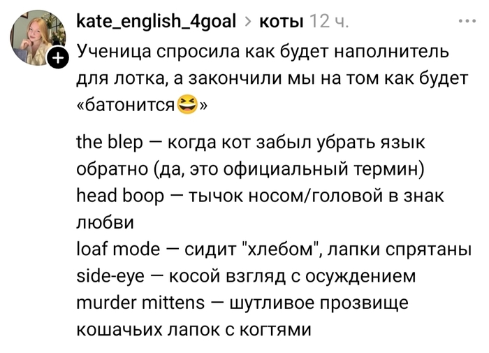 Запоминаем