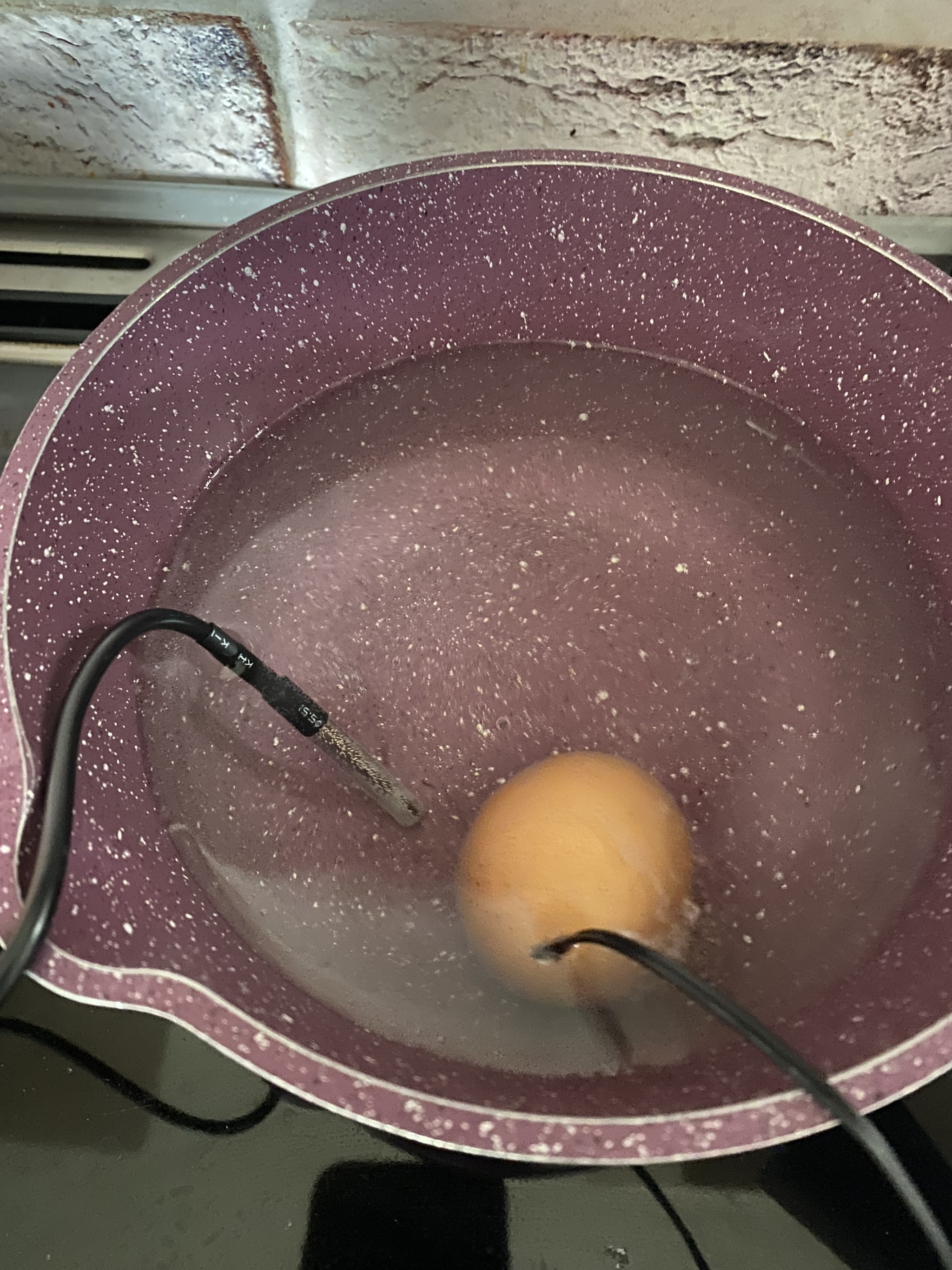 Measuring the temperature of an egg while it's boiling (WHAT THE HELL?!) - My, Cooking, Experiment, Electronics, Longpost
