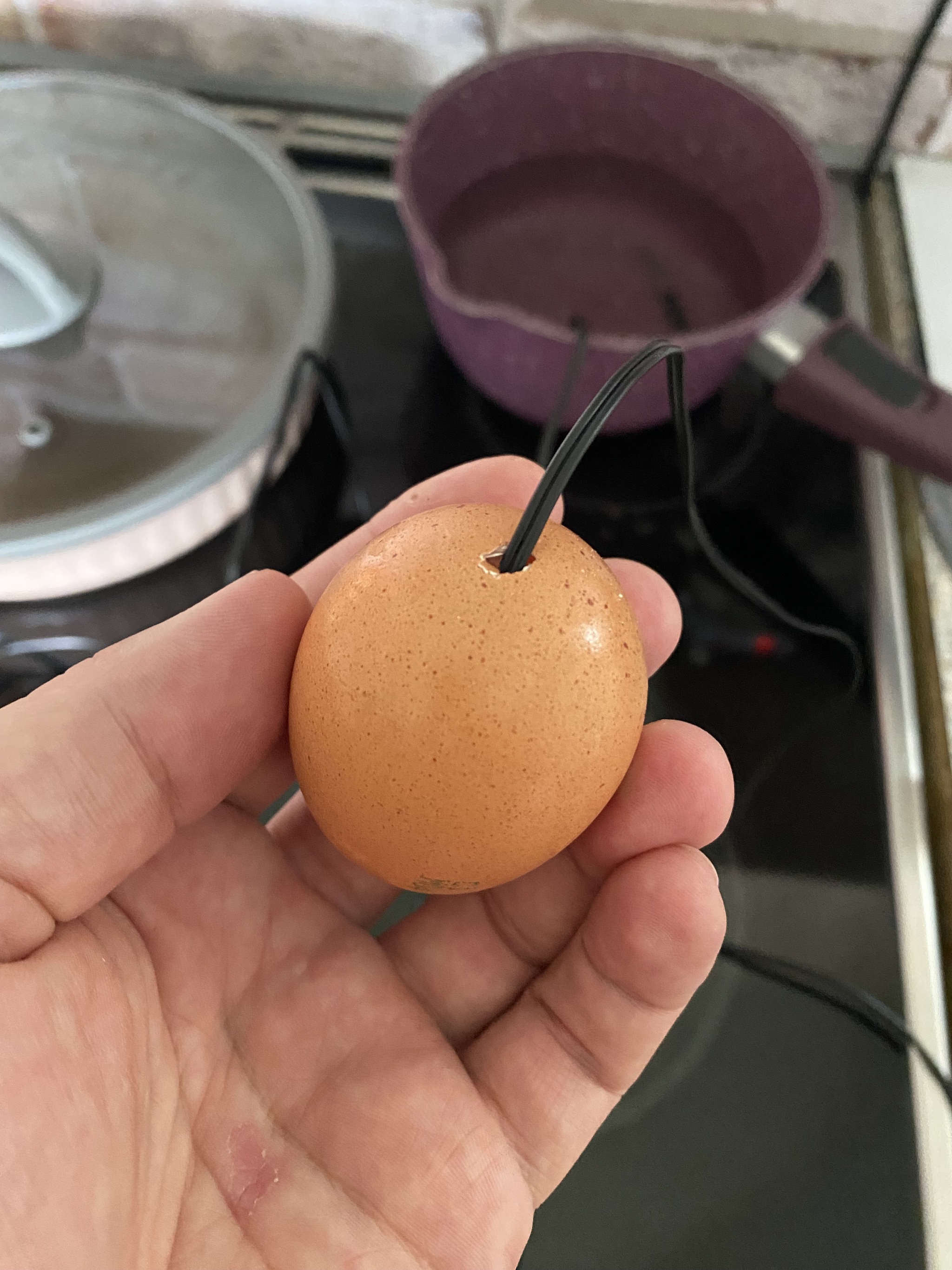 Measuring the temperature of an egg while it's boiling (WHAT THE HELL?!) - My, Cooking, Experiment, Electronics, Longpost