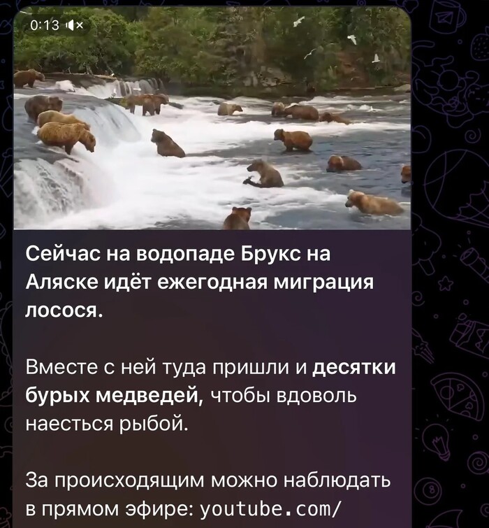 В принципе уже пофиг что смотреть