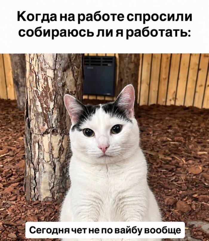 Ответ fryFx в «Убить нищеброда» - 25.07.26 03:400