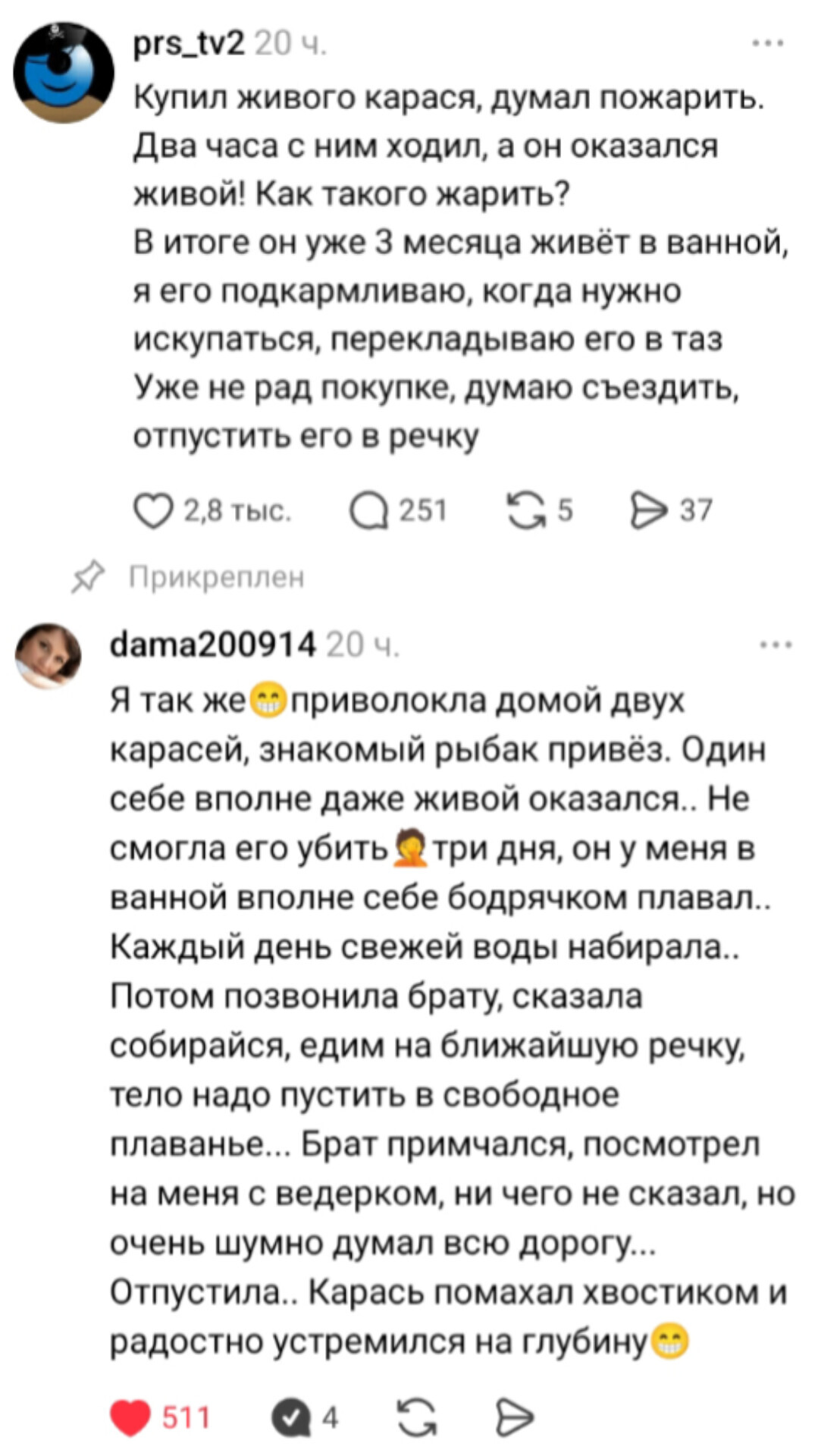 Про карася, добрую девушку, и брата бандита - Карась, Истории из жизни, Жалость, Рыба, Скриншот