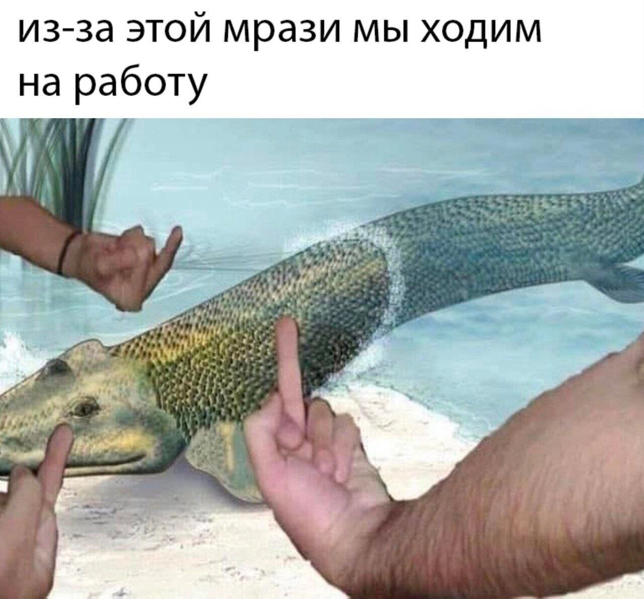 LetsMakeItFun - Series LetsMakeItFun, Memes, Humor, Longpost