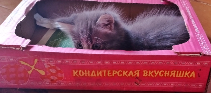 Всё съел