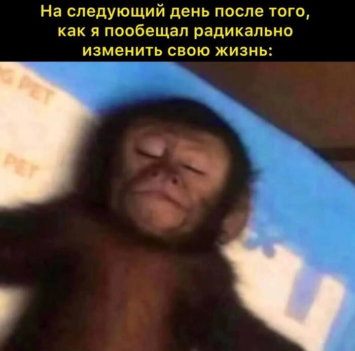 XD