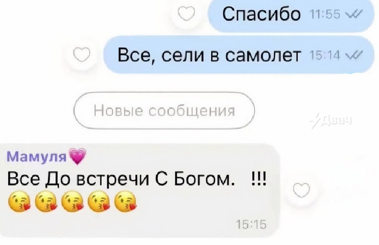 Ingushetia is developing - Humor, Ingushetia, 18 years, Men and women, Bashkortostan, Adolf, cat, Longpost