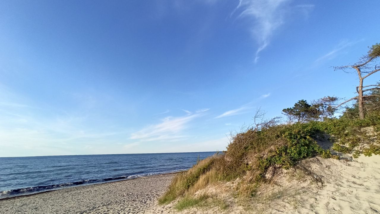 Let's end the work week right - My, A life, Sea, Evening, Beach, Kaliningrad region, Kaliningrad, Zelenogradsk, Cities of Russia, Relaxation, Recovery, Baltic Sea, Road, Fork, Russia, Pine, Sand, Longpost