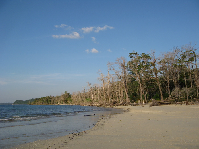 �������� ���� (Elephant Beach)