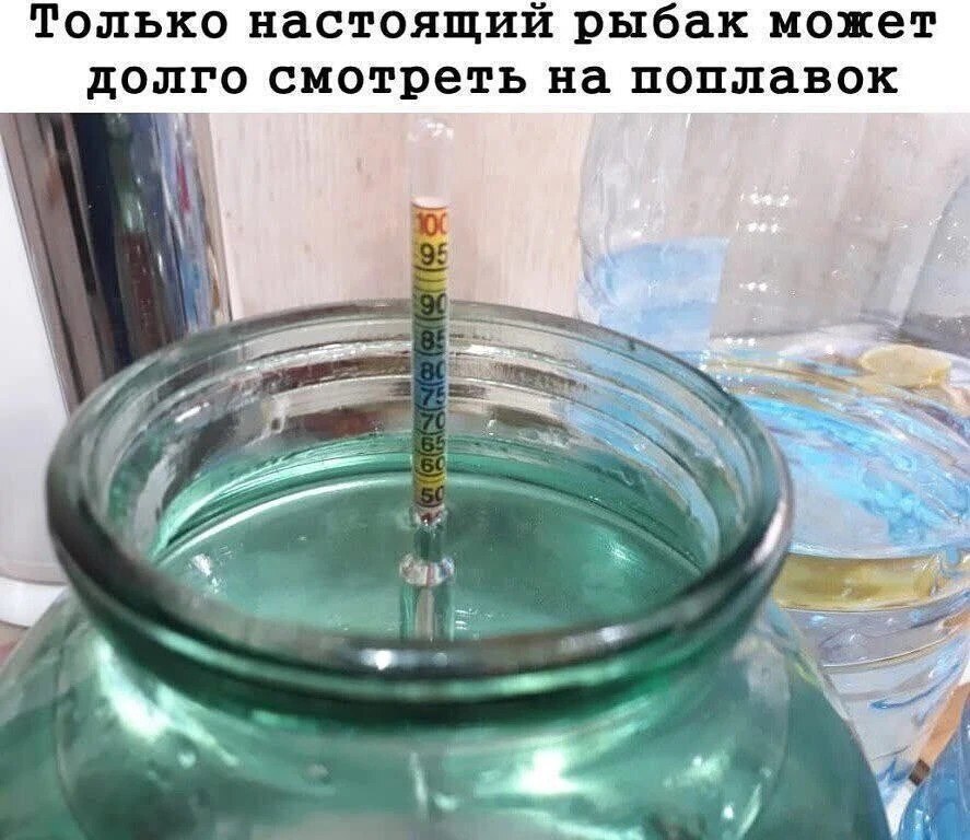 Friday alcohol humor - Series Friday alcohol humor, Picture with text, Longpost, Alcoyumor