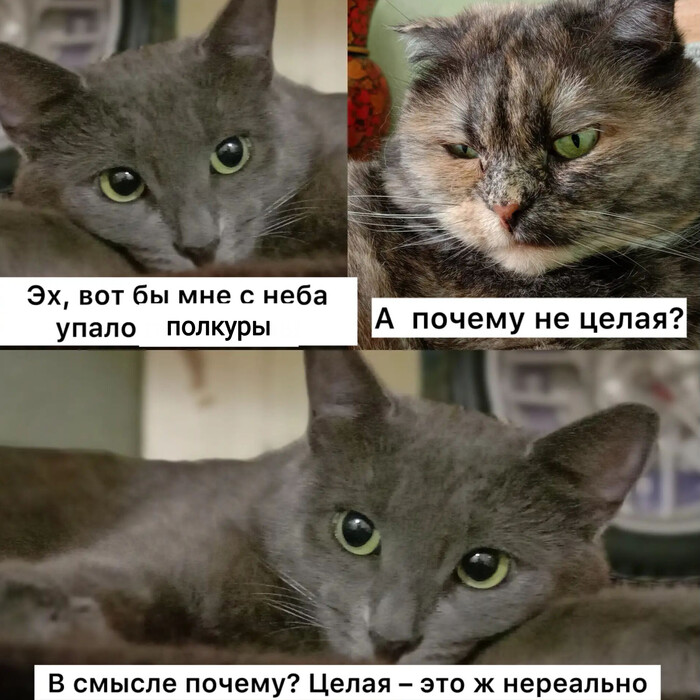 ������ � ��������