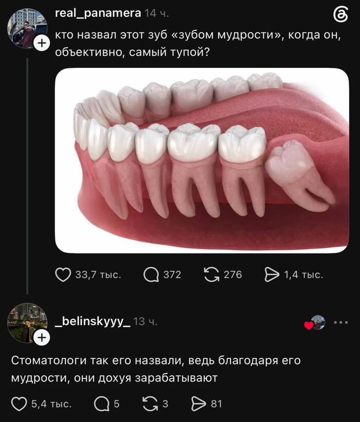 Лежит себе отдыхает, пока другие работают, чем не мудрый ход?