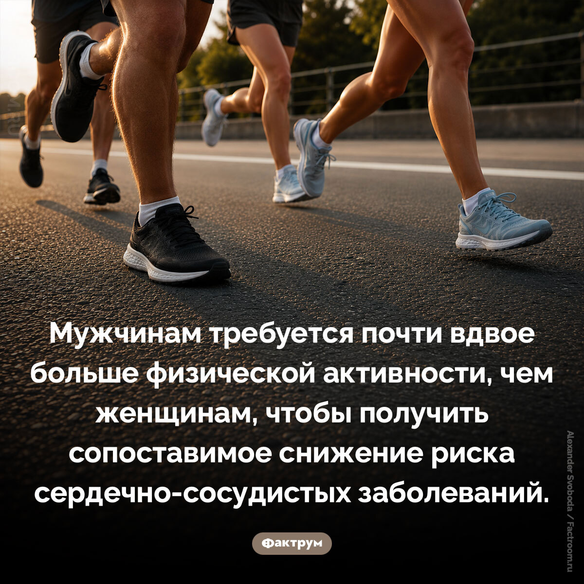 Подборка интересных фактов № 275 - Моё, Познавательно, Факты, Подборка, Картинка с текстом, Фактрум, Хочу все знать, Удивительное, Удивление