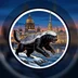 medoedspb