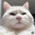 igbuby