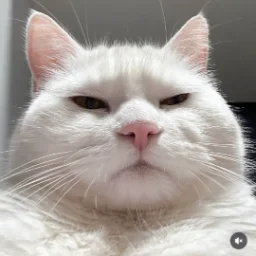 igbuby
